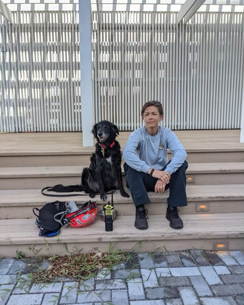 browardsheriff's tweet photo. Battalion Chief Nichole Notte and Dig, her search and rescue K-9, arrived within 45 minutes of the collapse. They began the initial search at the site for the first 12 hours before returning home, packing a bag, resting for a short time and returning to the site. They have 1/4 https://t.co/hX3jxcTrG8