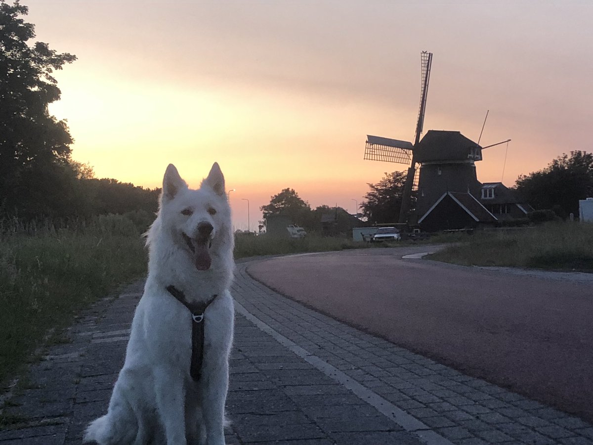 Angelique Winder tweet media