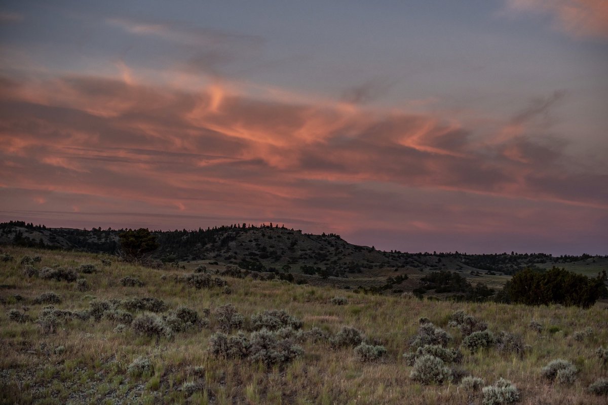 cuttersncorgis's tweet photo. Took a drive out west and accidentally fell in love with Montana skies https://t.co/Sv1kCBzhAM