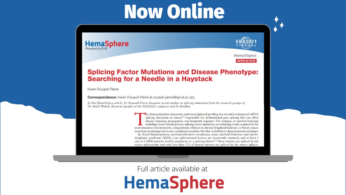 Hemasphere_EHA's tweet photo. Kevin Rouault-Pierre (@kevin_rouault) discusses new research about #SplicingFactor mutations + disease phenotype in this #HemaTopics. Read the #OpenAccess paper here 👉https://t.co/BMupI34060

#mdssm #AML #HSCs #ClonalExpansion https://t.co/tod3M5DMt8