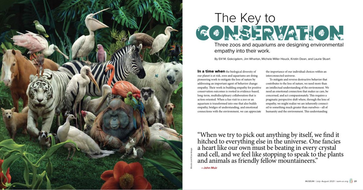 ElifGokcigdem's tweet photo. Environmental empathy is key to biodiversity conservation —you can read our collaborative article in @AAMers latest “Museum” magazine —thanks to all collaborators: @jimwharton Laurie Stuart and @MicheleHouck @SeattleAquarium @woodlandparkzoo @CarolinaRaptor 
#designingforempathy https://t.co/2wCwjkv7P2