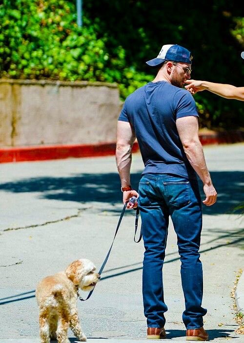 evanschain's tweet photo. chris evans' arm veins appreciation tweet 🤤 https://t.co/Sa5155jGdF