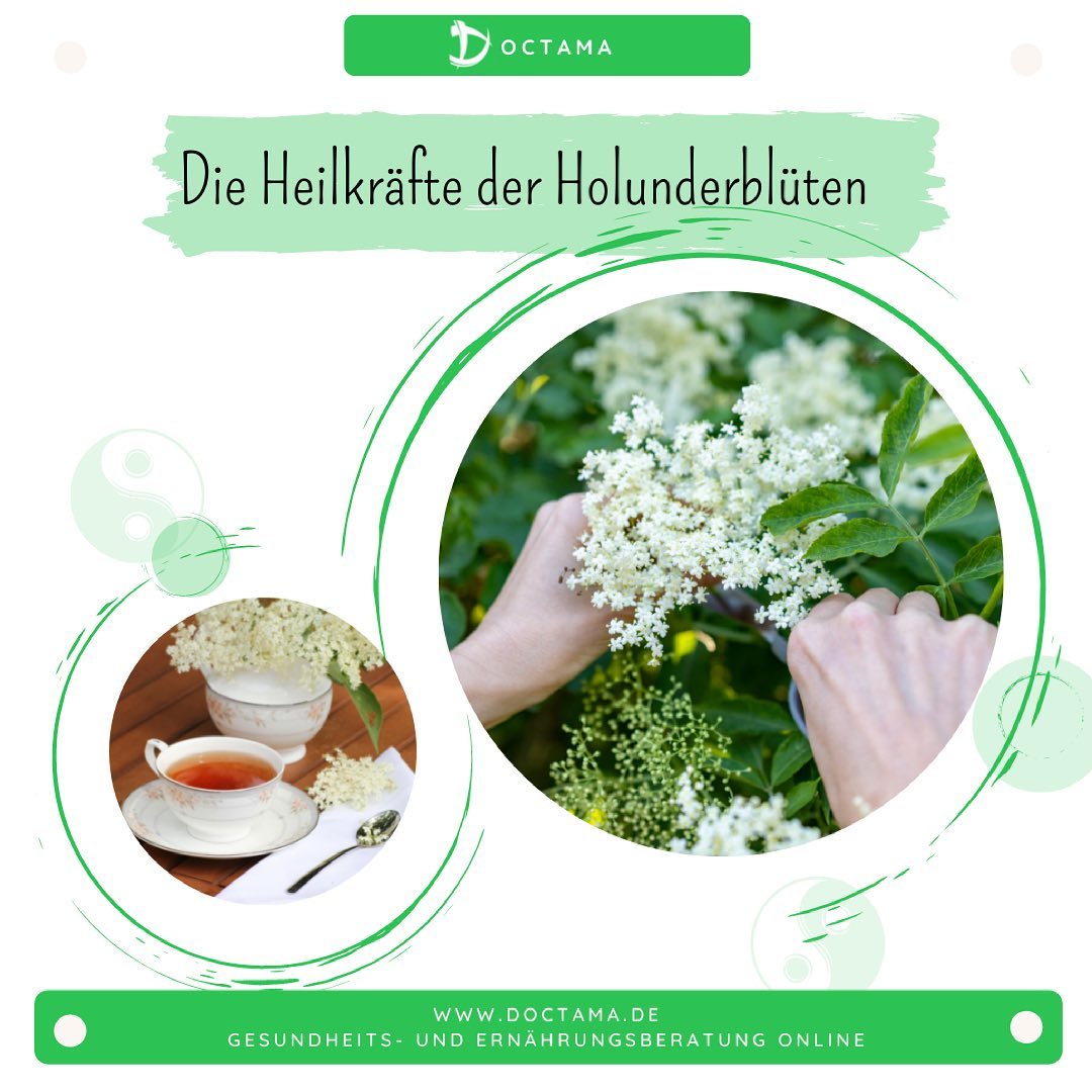Nutzen Sie die Heilkräfte der Holunderblüte. Besonders interessant ist die Holunderblüte für Menschen mit aktuellen Gräser- und Pollenallergien.
Das liegt an der kühlenden und lösenden Wirkung der Holunderblüte, welche allergische Symptome im Kopfbereich lindert.