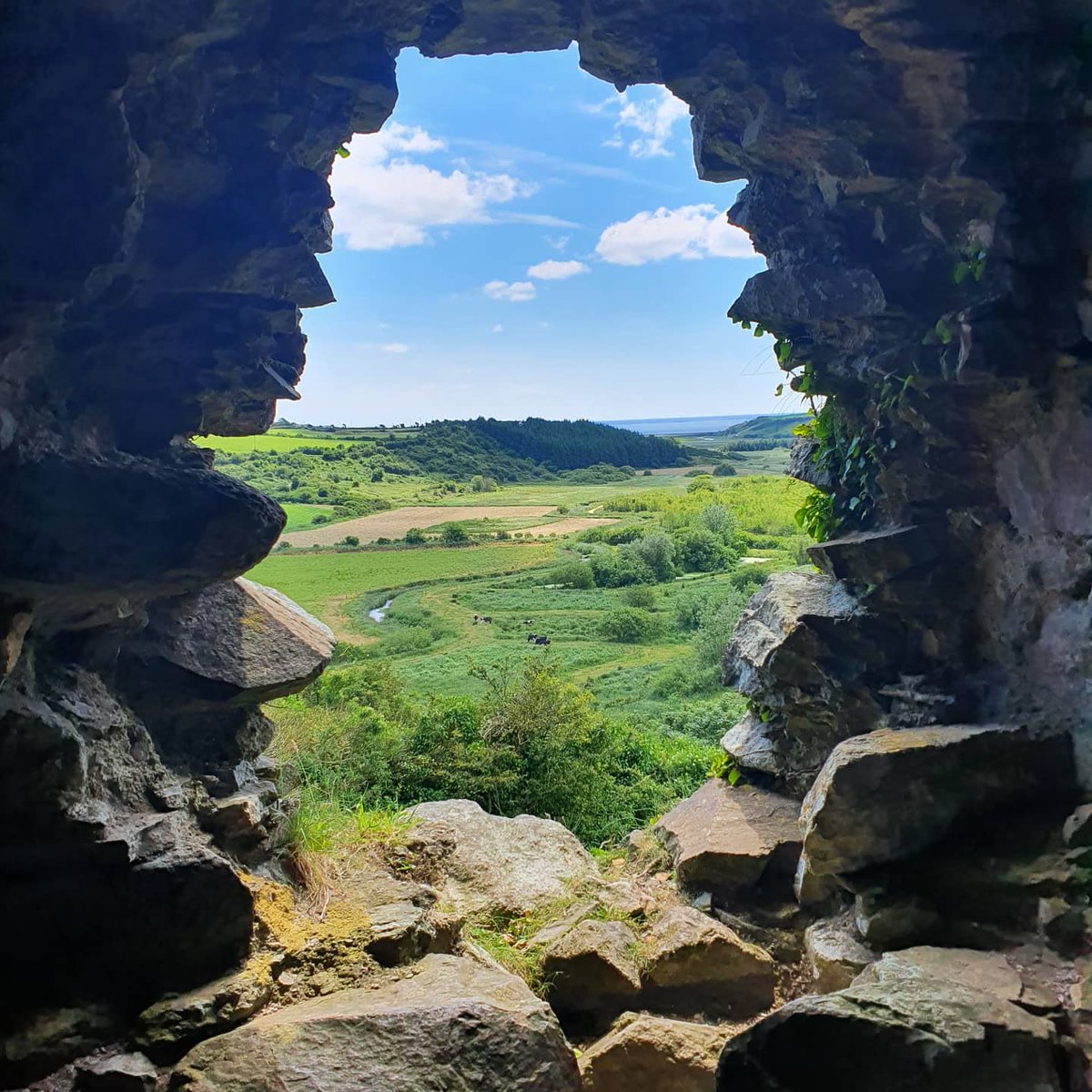 Waterford History News tweet media