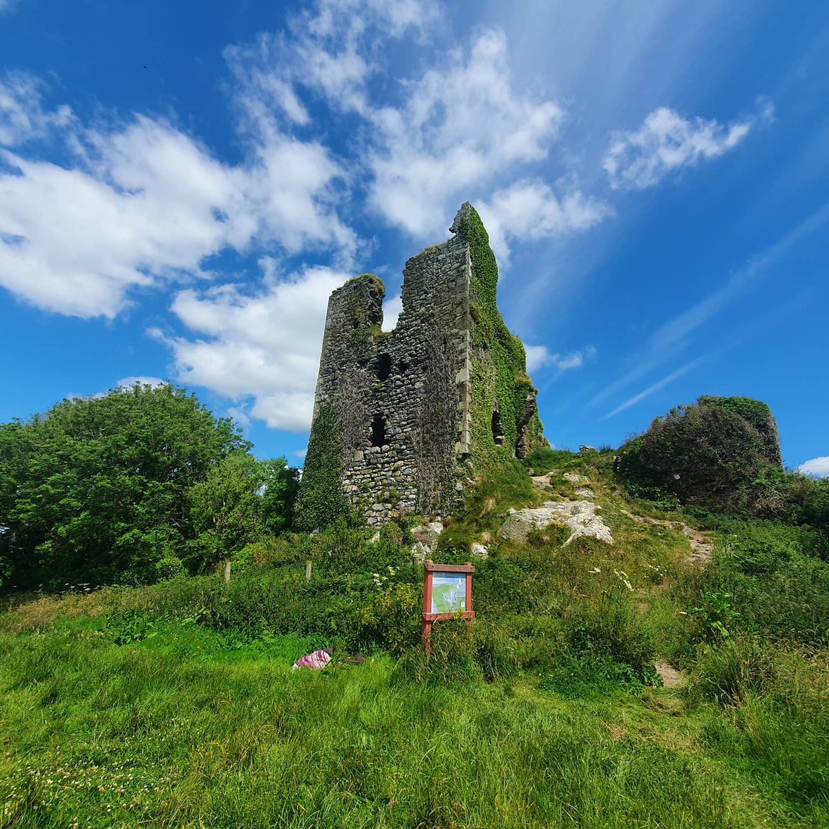 Waterford History News tweet media