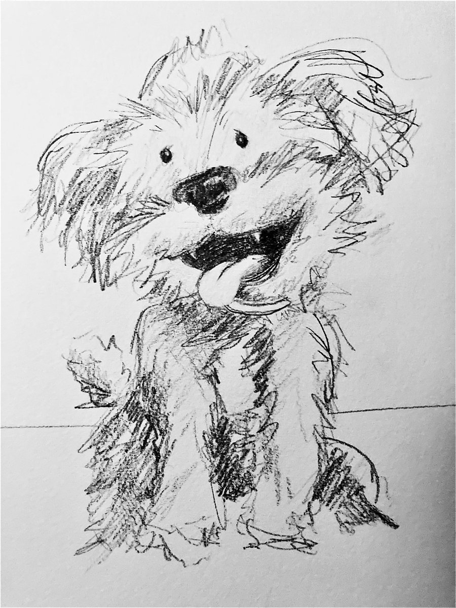 Patrick M Aprea tweet media