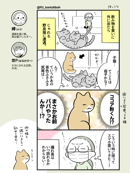 #日々おつかれ漫ちん その83。
微笑ましかった日記漫画です。普通に猫違いかもしれんけど。

#エッセイ漫画
#日記漫画
#漫画が読めるハッシュタグ 