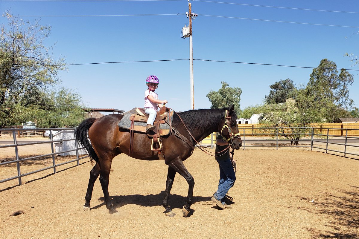 stephanie_herb's tweet photo. Natalie cooling out Temple Keys after mommy's morning ride💚 Do you think she'll grow into him? 😅 #PrincessNatalie #baysbeforeboys #OTTB #TempleKeys #horsesareagirlsbestfriend https://t.co/Il7LjHPCnG
