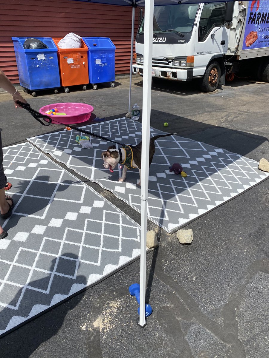 It was such a pleasure to see the <a href="/BvtClass22/">BVT Class of 2022</a> at #puppiesonthepatio this afternoon! Such a great event for <a href="/pawfectlife_res/">Pawfect Life Rescue</a> and our beavers alike! 

#RescueDogs #volunteer #beavers