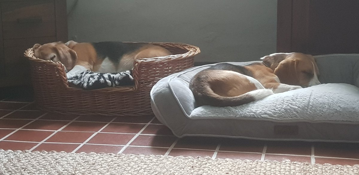 Adam White tweet media