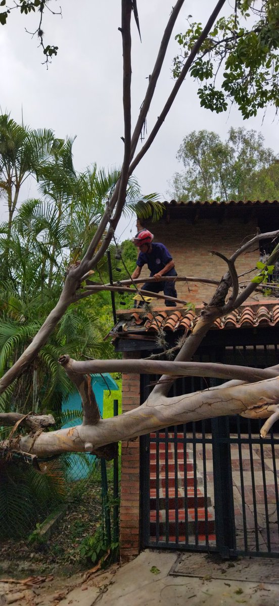 Neomar Vecchionacce tweet media