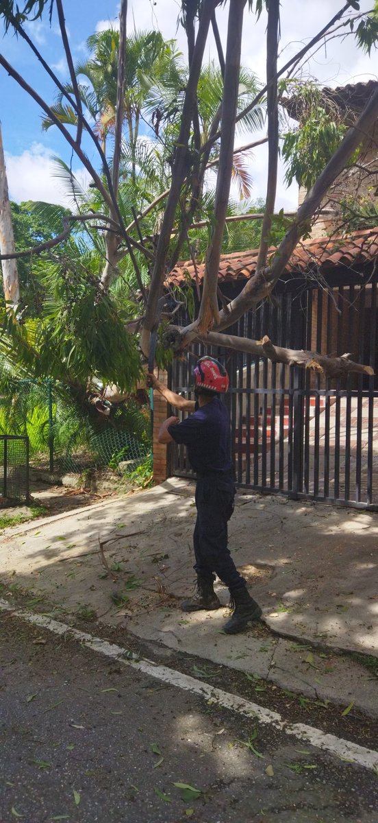 Neomar Vecchionacce tweet media