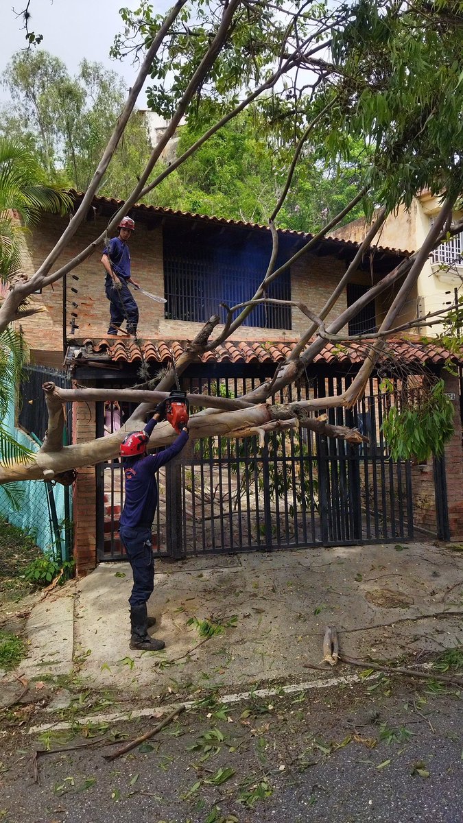 Neomar Vecchionacce (@vecchionacce) on Twitter photo En este momento <a href="/Baruta_PC/">Protección Civil Baruta</a> prestando apoyo en la Quinta 457-A de Santa Inés la cual quedó bloqueada por un árbol que cayó con las lluvias el día de ayer.
Muchas gracias a este gran equipo de voluntarios y rescatistas. En este momento <a href="/Baruta_PC/">Protección Civil Baruta</a> prestando apoyo en la Quinta 457-A de Santa Inés la cual quedó bloqueada por un árbol que cayó con las lluvias el día de ayer.
Muchas gracias a este gran equipo de voluntarios y rescatistas.