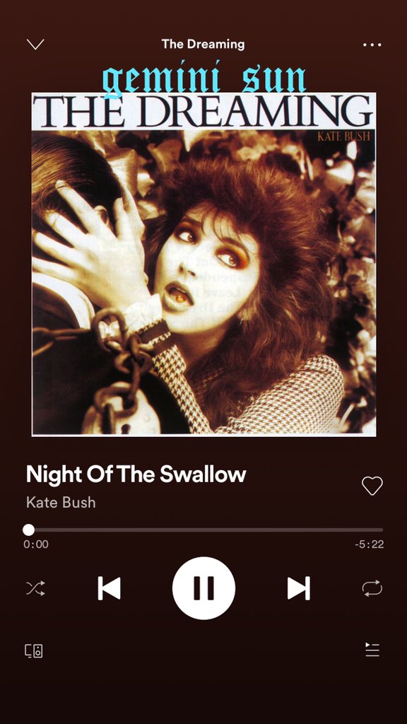 kate bush’s aquarius moon on Twitter "♊︎ gemini ♊︎ sun — night of the