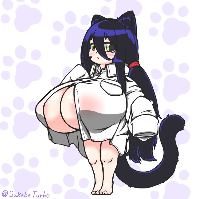 素直クール系ネコチャン 