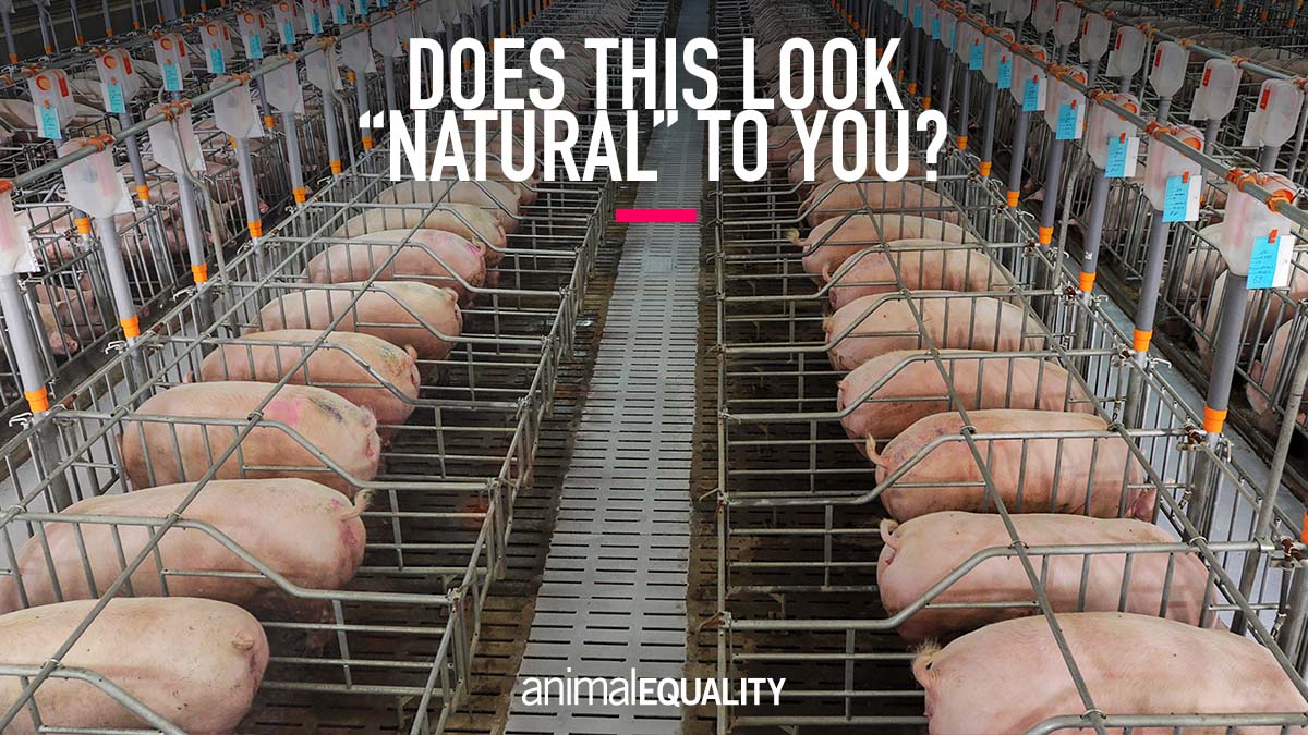 Amy Squires 🇺🇦 tweet media