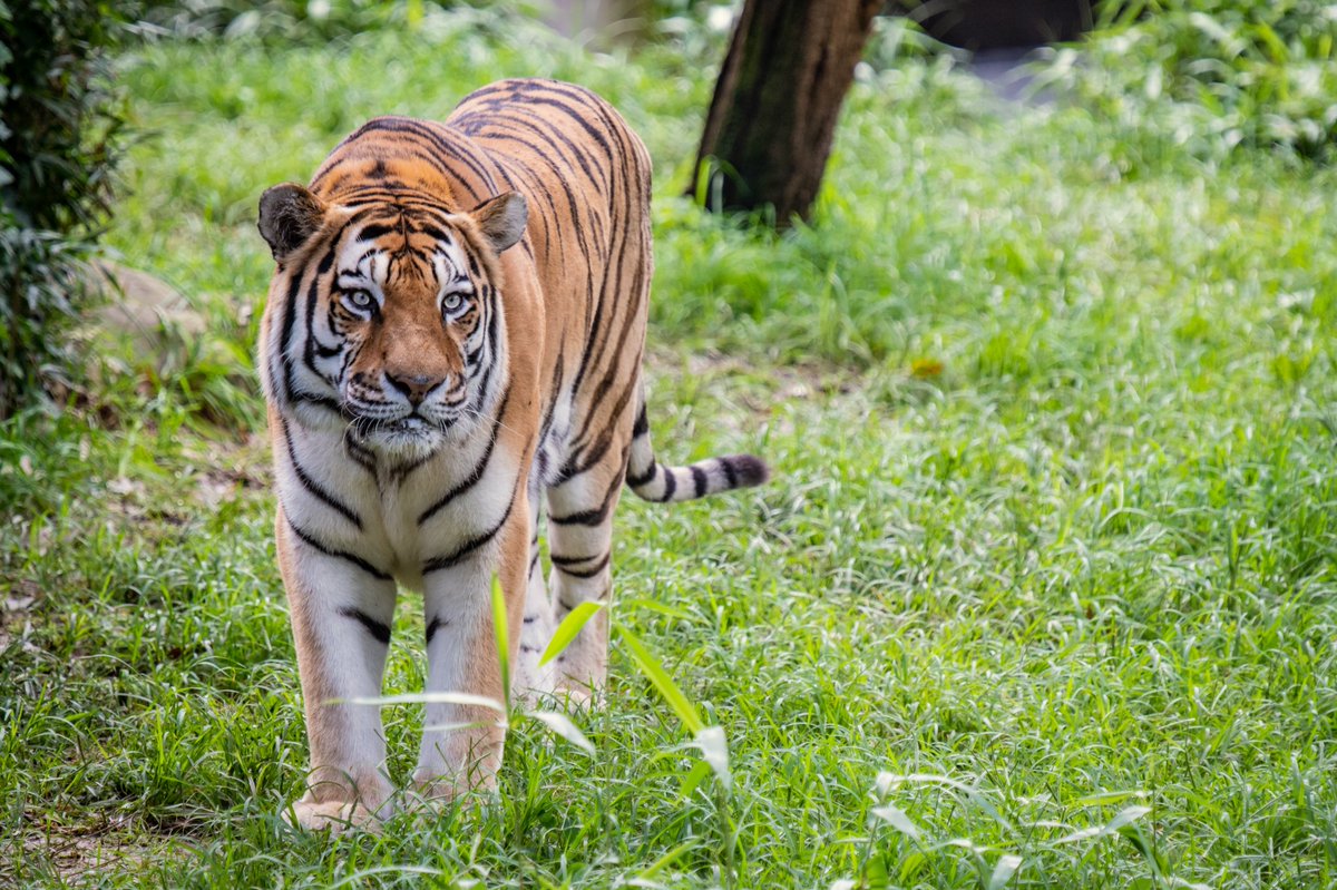 Derek Baker tweet media