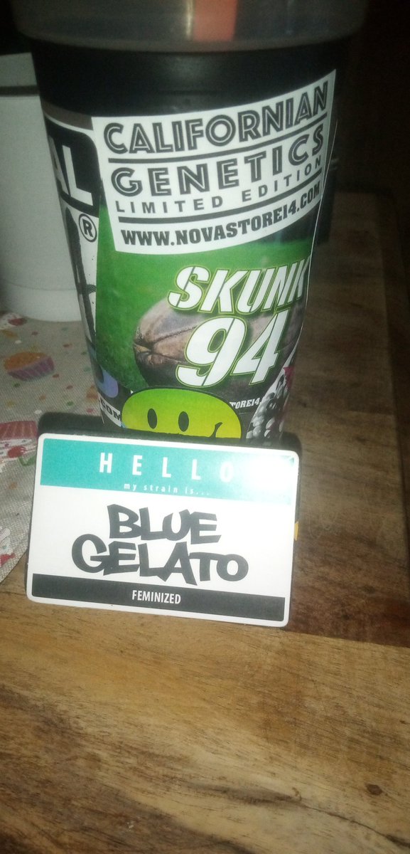 Shottah1312's tweet photo. O't Prévoit déjà la Prochaine Culture avec 10 #BlueGelato pour les 20 autre Variétés, ont verras part la Suite.
#MedicalNovaSeeds #BlueGelato #GanjaFarmer #FranceVerte #CultivateurModerne #LegalizeIt https://t.co/sSbMjEdeUN