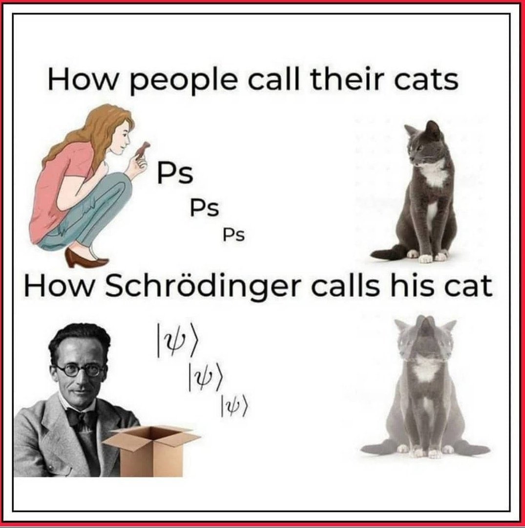 Schrodingers Cat Meme