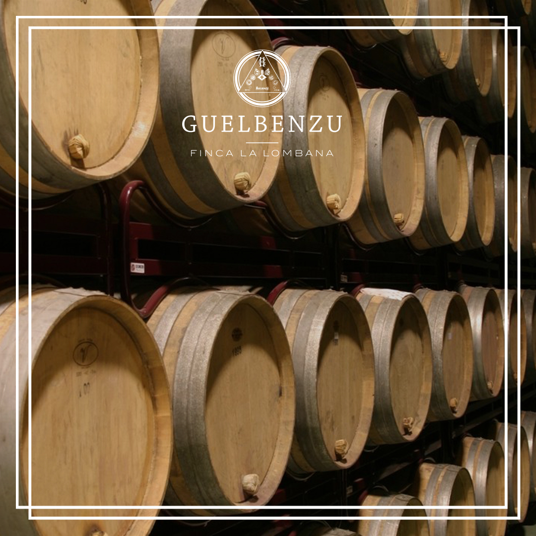 "Evo" significa “duración de las cosas eternas” y con dicho nombre se quiso reflejar la capacidad de crianza y envejecimiento de dicho vino, su virtud para mejorar con el tiempo. #guelbenzu #fincalalombana