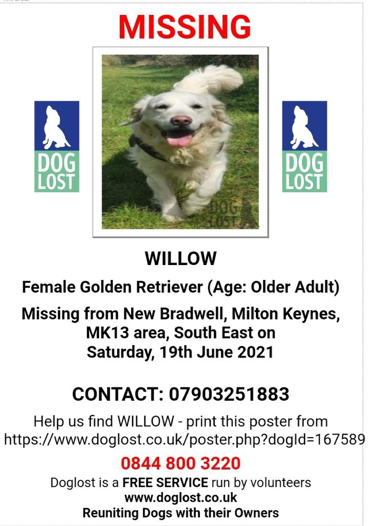 MissingPetsGB's tweet image. 🐕#HelpFindWillow 
#missing from New Bradwell #MK13 since 19 June
WILLOW'S dad is now in hospital due to the stress. WILLOW is a VERY poorly, elderly, spayed retriever. She has never been away from her family for more than 4 hours in nine years.
Please RT 
doglost.co.uk/dog-blog.php?d…