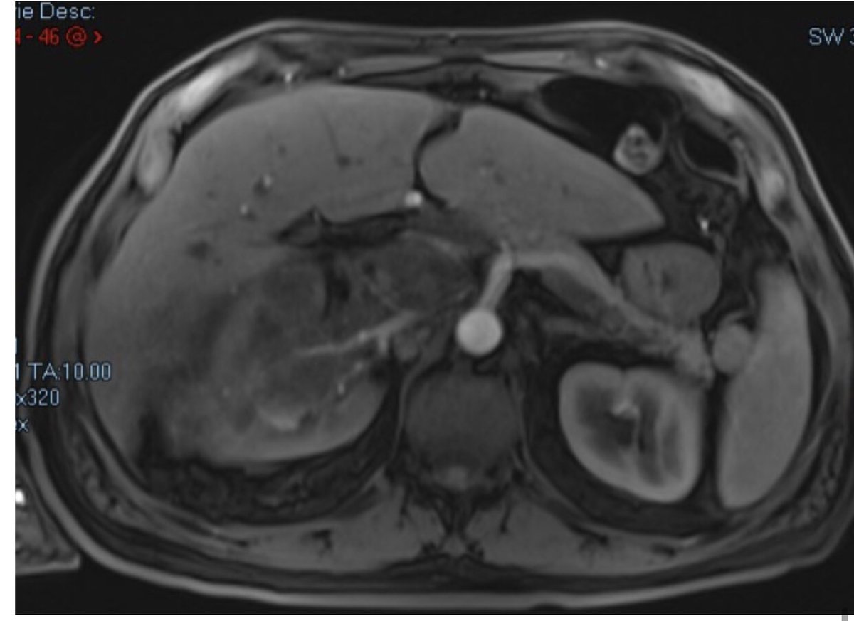 Fabio Vergara tweet media