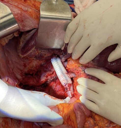 Fabio Vergara tweet media