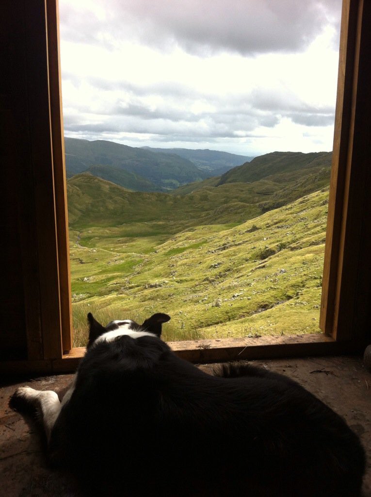 NTLakesFells's tweet photo. After 9 years with the team, Sarah (and Rowan!) move on to pastures new tomorrow, before we go here’s some of our favourite pictures! https://t.co/uWPdCakClb
