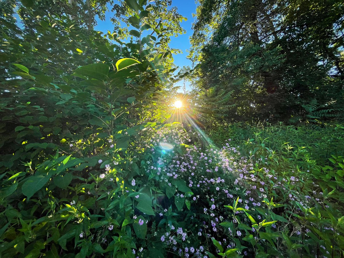 ConquerWild's tweet photo. Happy Sunday!! 🌞🌸 https://t.co/nPismaul0s