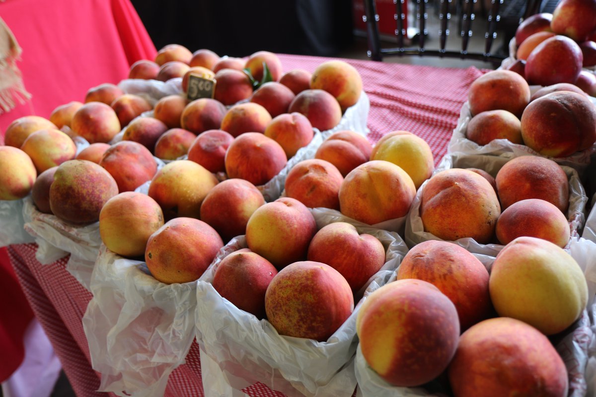 tuscaloosacity's tweet photo. JJ’s Produce start their fruit stand in 2010 but has been farming for several years prior. Their main focus is peaches! 🍑
 
When asked about the benefits to local produce they said, “You have better health, the calories are usually low in fruits and vegetables.” #FeaturedFarm https://t.co/ZBokA4xk2L