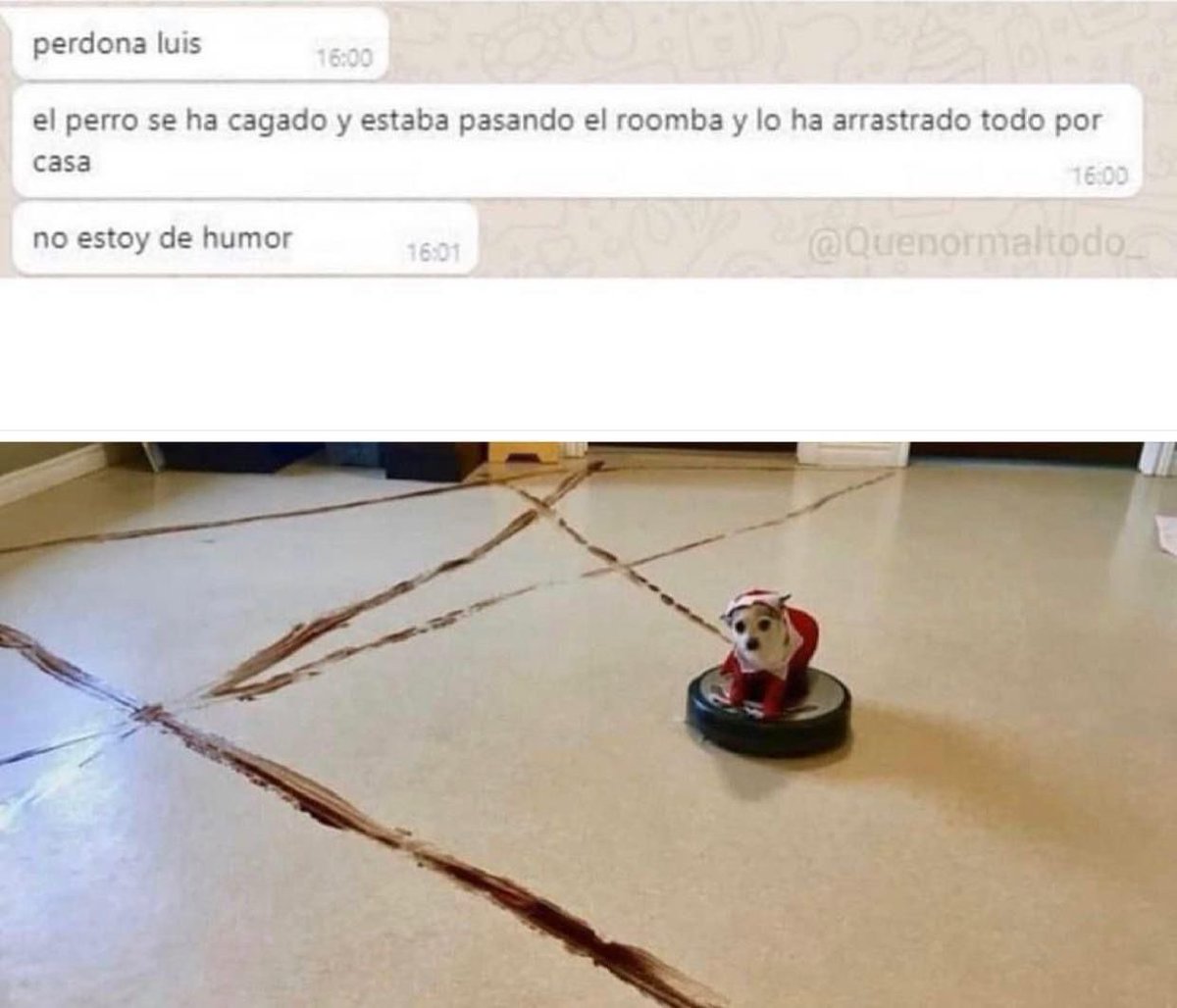 Lomitos Suavecitos (@suaveslomitos) on Twitter photo 