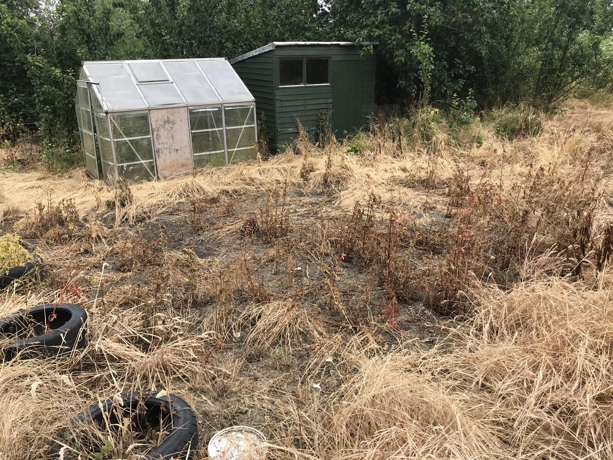 Save Our Allotments tweet media