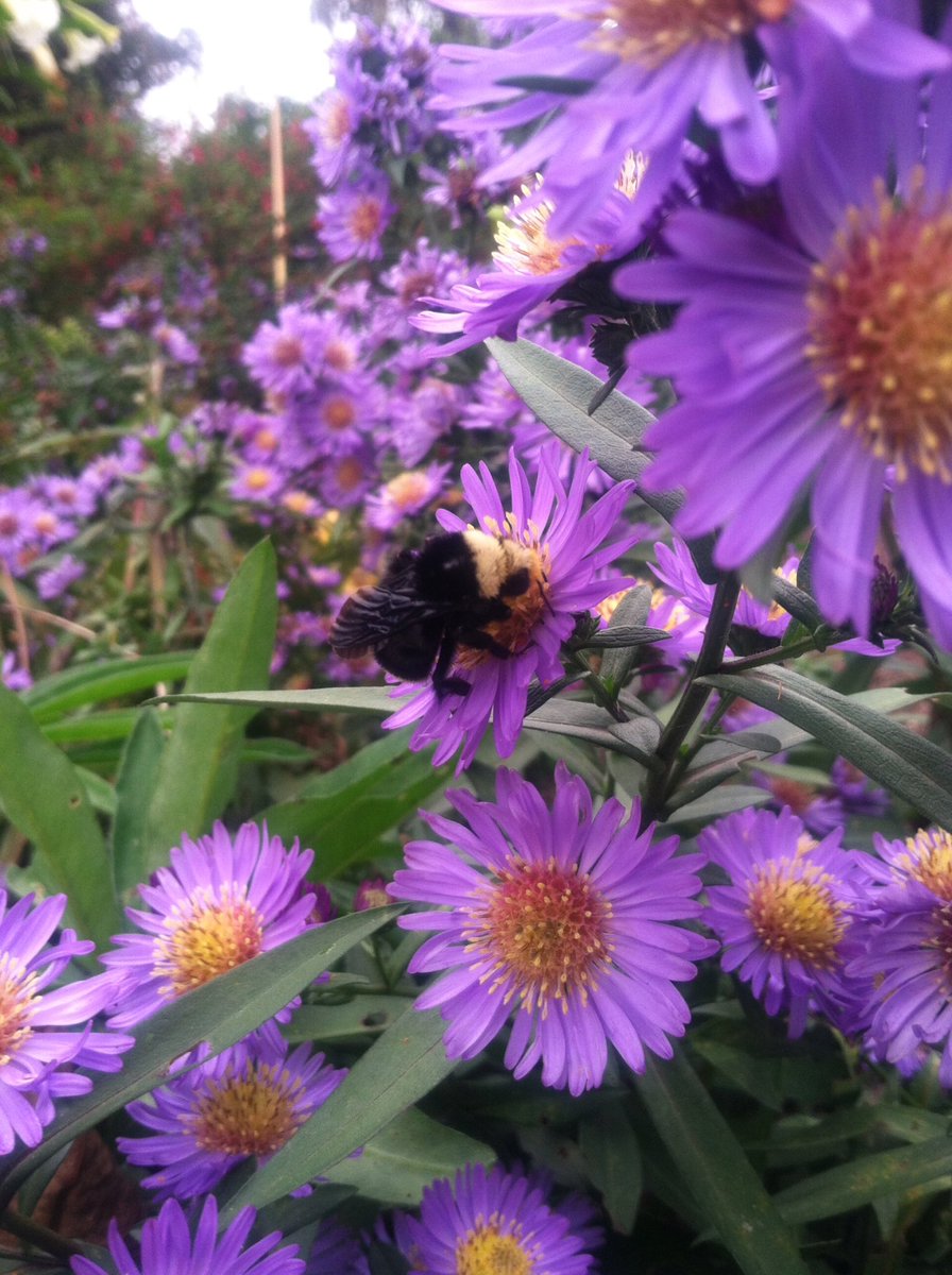 Deb_Farm's tweet image. 