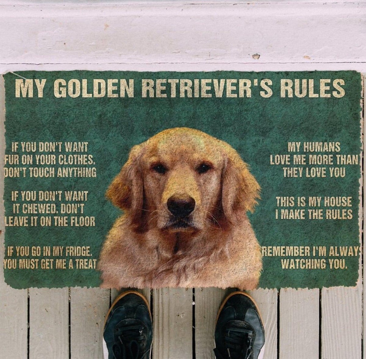 georgethe_king's tweet photo. 👇 👇 👇 👇 👇
#goldenretriever #goldenretrievers #dogsoftwitter #dogsofinstagram #dogs #grc #TheGRC https://t.co/cSSegyYUJT