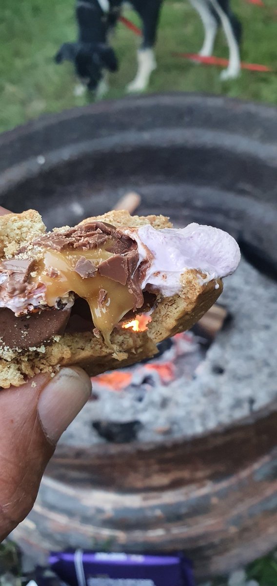 DIY smores night whilst watching my team (Belgium) play Portugal in the wilderness. (Me, not them) #lovinglivingoffgrid
