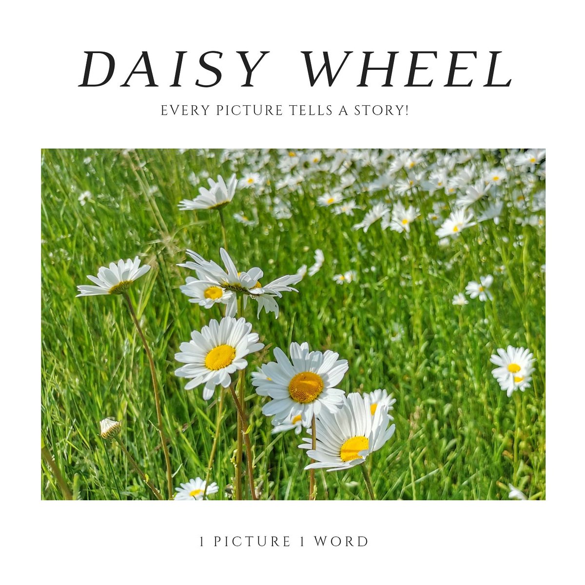 1Picture1Word's tweet photo. #daisywheel
#1P1W #1picture1word
#activeemotion ποΈ
#battlepicture π π
Every picture tells a story! #Imagine #Photo #weare1forall
#France
The less you say, the more people remember πΈ
https://t.co/do7wSJhu8Y
#onepicture #oneword
#nature #flowers https://t.co/4yo325Tk2v