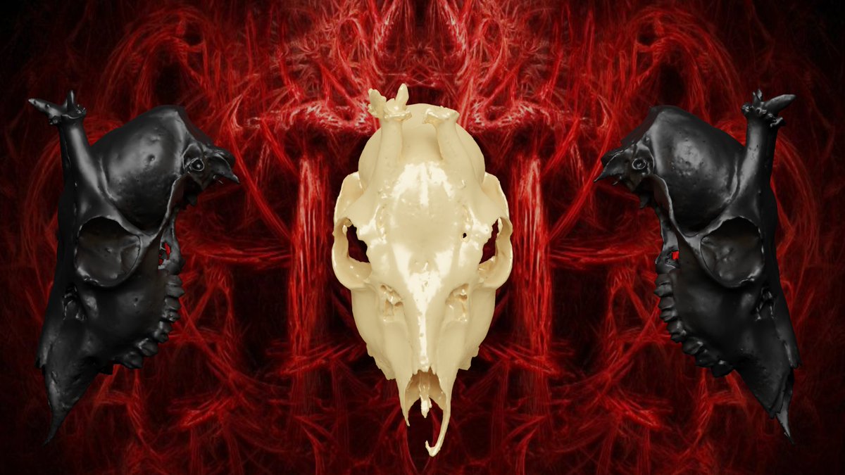 Synth_Step's tweet image. King Paimon Will Return
.
.
.
#blender #3dart #digitalart