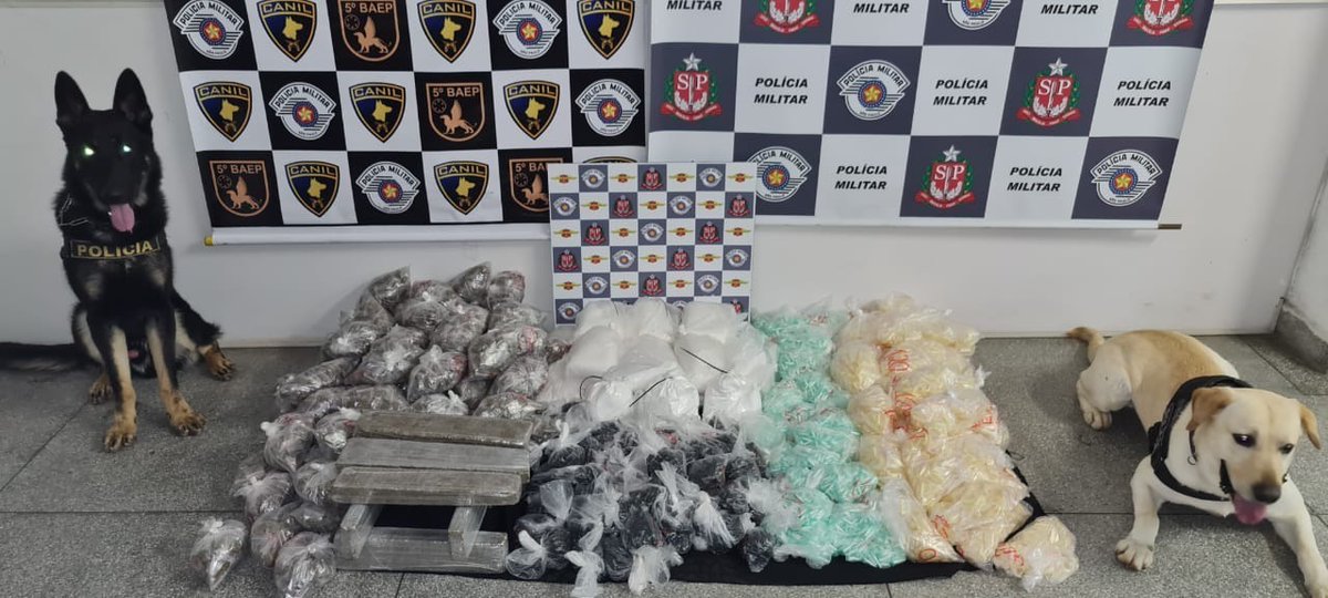 SegurancaSP's tweet image. 🚔 Com auxílio dos cães farejadores Colt e Duke, a PM apreendeu +22 mil porções e tijolos de drogas em uma &apos;casa bomba&apos;, na cidade de Embu das Artes.

☑ O imóvel, utilizado para o preparo de entorpecentes, foi identificado durante a Operação Narco Brasil.

#PMESP #SegurançaSP