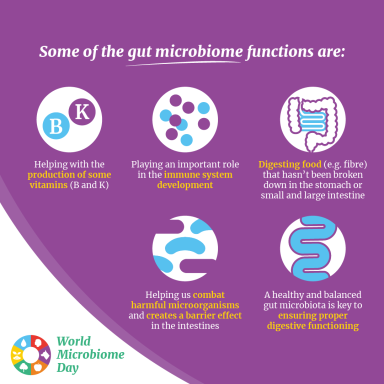 akloewen's tweet photo. Today is #WorldMicrobiomeDay and gut health plays an important part in our overall health. An effective way to support our gut health is to eat a variety of plant foods! Mix it up and try choosing a new veg, bean, grain at the grocery store this week ;) https://t.co/GDBzAjbEvw