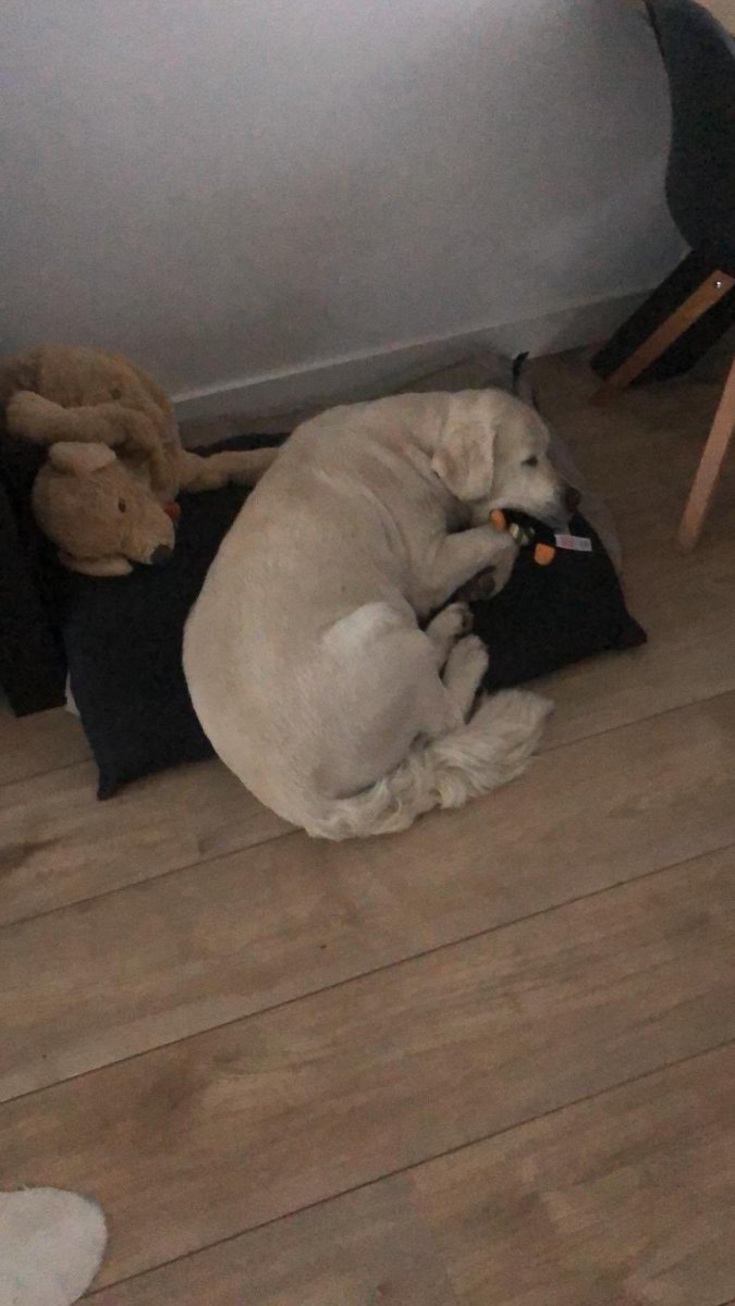 Wat Max van de #wedstrijd #NEDTSJ #NEDCZE vond?