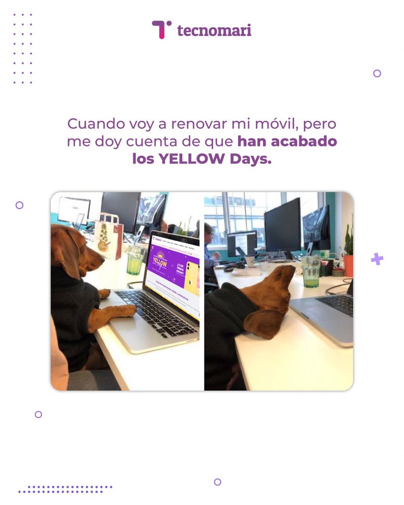 Sabemos cómo duele así que... ¡que no te pase!💔

Tienes hasta las 23:59h para conseguir los mejores descuentos en Tecnomari. Date prisa, que acaban hoy 🥳📱

#YELLOWDays #descuentos
