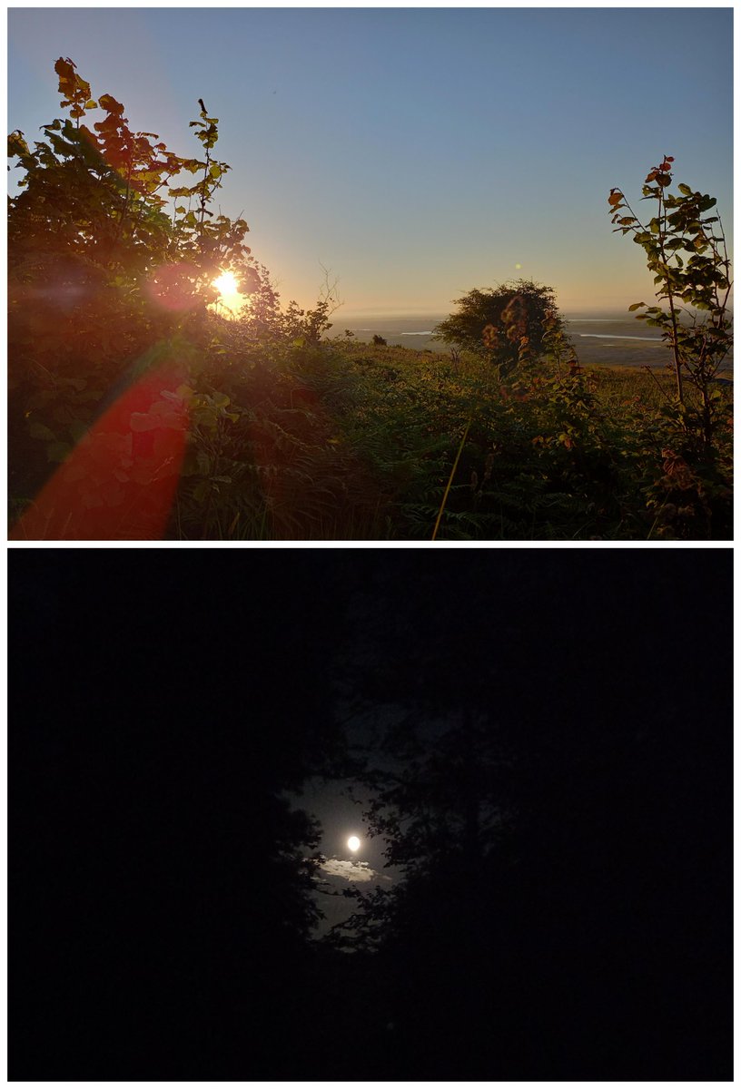 mick_scott's tweet photo. The Burren at sunrise and the waning moon from Yeats' Thoor Ballylee.
#SolsticeCycle #GeábhAnGhrianstad https://t.co/cCtADsVLGP