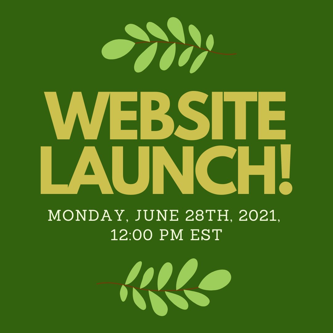 Hello everyone! The Green Space Project Website will OFFICIALLY launch on Monday, June 28th, 2021 at 12pm EST! You'll find out more information about the project through the website and be kept updated about its development through the blog!