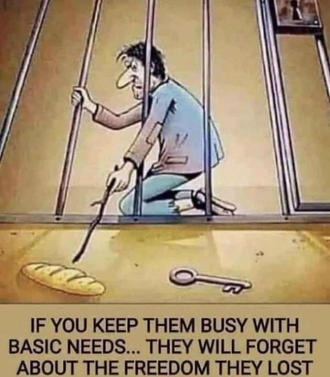 Onları temel ihtiyaçları ile meşgul ederseniz kaybettikleri özgürlüklerini unuturlar..