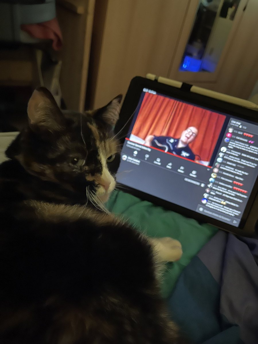 RockpicsNL's tweet photo. @ChrisCatalyst Milly doesn’t want to be disturbed while watching your live stream @ChrisCatalyst 
🤣😻 https://t.co/QPlcXl6Xs3