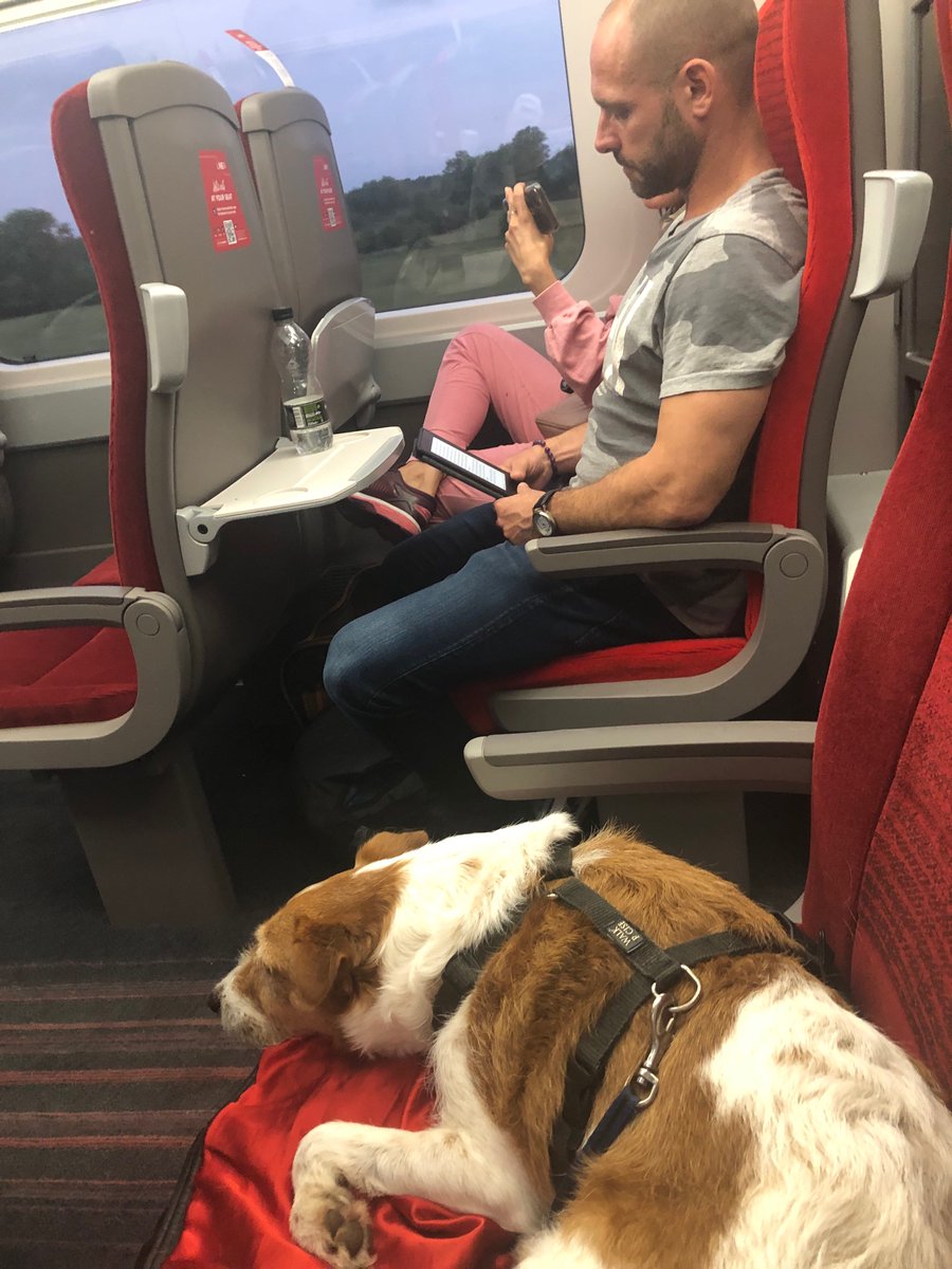 Sarah Louise Raymond tweet media