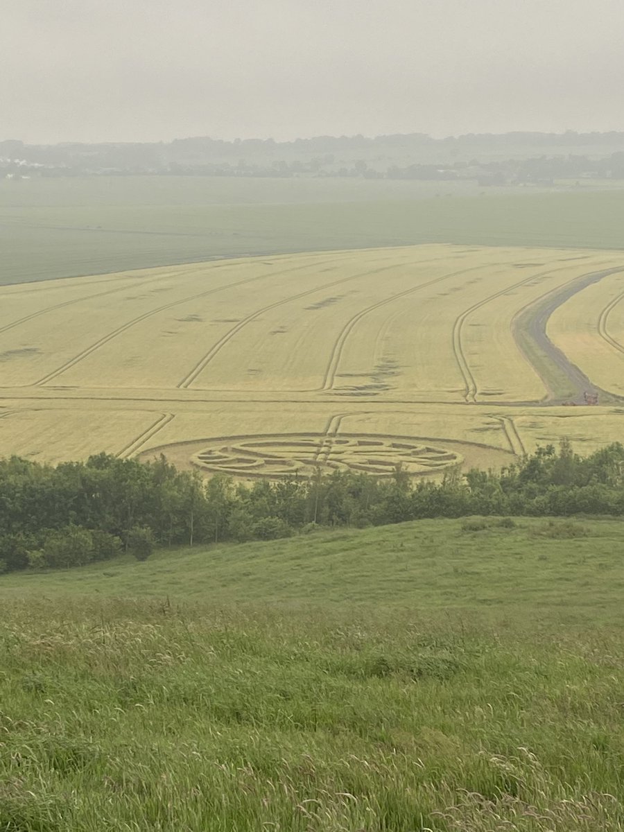 flowersforalice's tweet photo. ME AND MY DAD WENT AND FOUND LORDE’S  SOLAR POWER CROP CIRCLE !!! https://t.co/Ob2i7Q7fr2