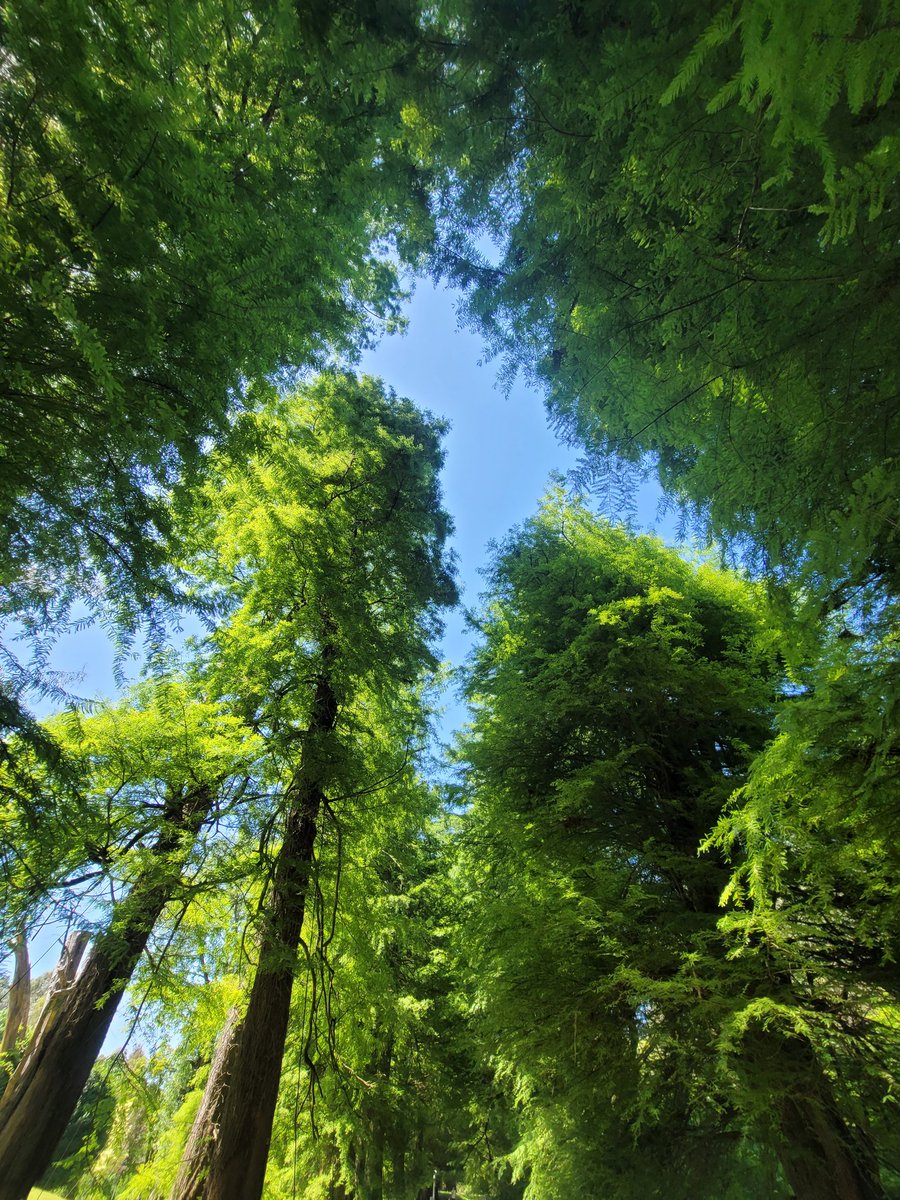 IrakliGuide's tweet image. #Georgia #Tbilisi #جورجيا #تبليسي #سياحة_وسفر #سياحة #مرشد_سياحي جورجيا #مرشد_سياحي 
انا مرشد سياحي اتحدث الانجليزيه بطلاقه يمكنني عمل برنامج سياحي متكامل لكم 
يمكنكم التواصل معكم عبر الواتساب 00995568433133