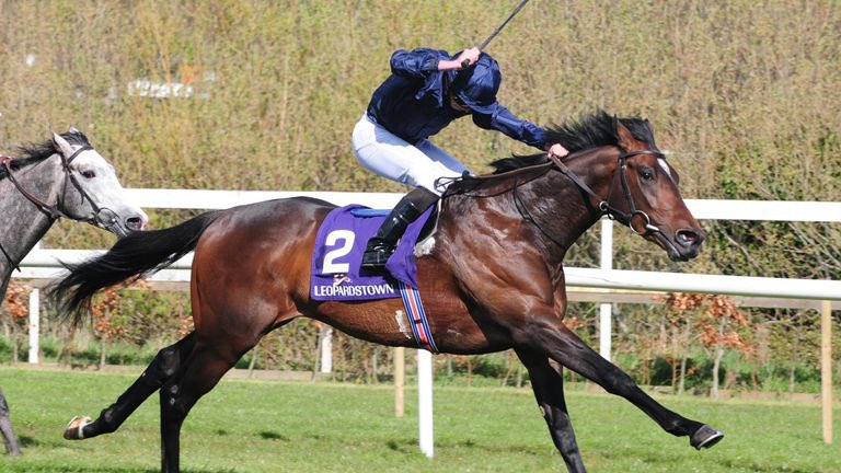 AdolphsonRacing's tweet photo. Beaten 🇬🇧Derby favorite BOLSHOI BALLET reportedly “possible” for G1 Belmont Derby Invitational, July 10. He would arguably be the best (or at least highest-regarded) horse @Ballydoyle has sent for the $1 million fixture, a group that includes Adelaide, Deauville & Hunting Horn. https://t.co/cwpQ8mHc5E