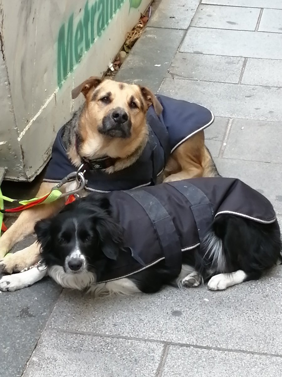 Hola soy una persona sin techo y sin trabajo que sobrevive como puede con sus dos perros en las calles de Madrid.

Antes de la pandemia podía sobrevivir dibujando sonrisas y me encontraba motivado  para seguir luchando día a día.